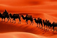 阿塞拜疆参与建设“虚拟丝绸之路”